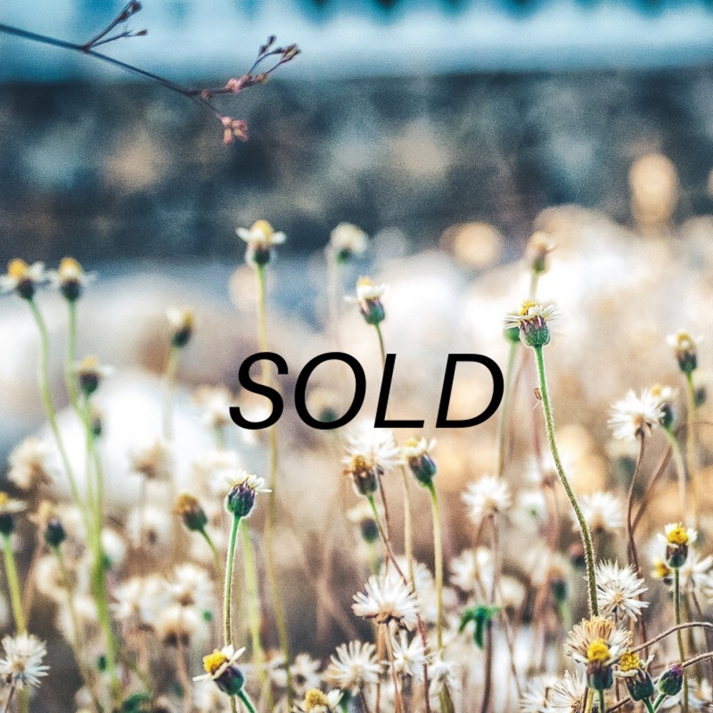 Items past here have been sold!